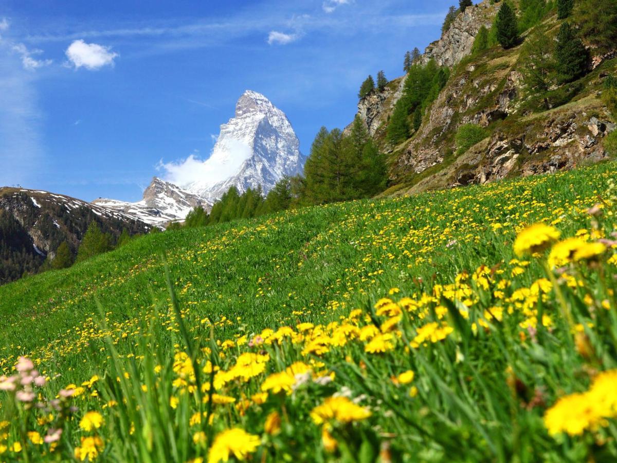 Apartment Armina By Interhome Zermatt Dış mekan fotoğraf