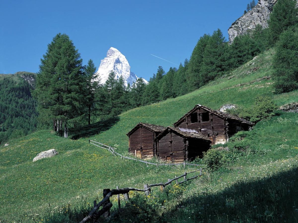 Apartment Armina By Interhome Zermatt Dış mekan fotoğraf